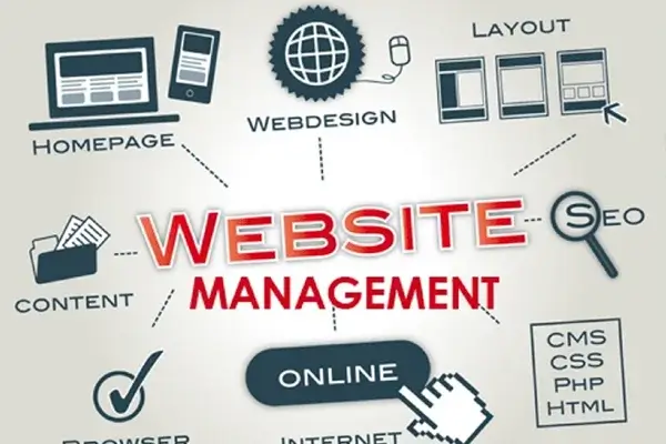 Comprehensive Website Management for Ecommerce Stores